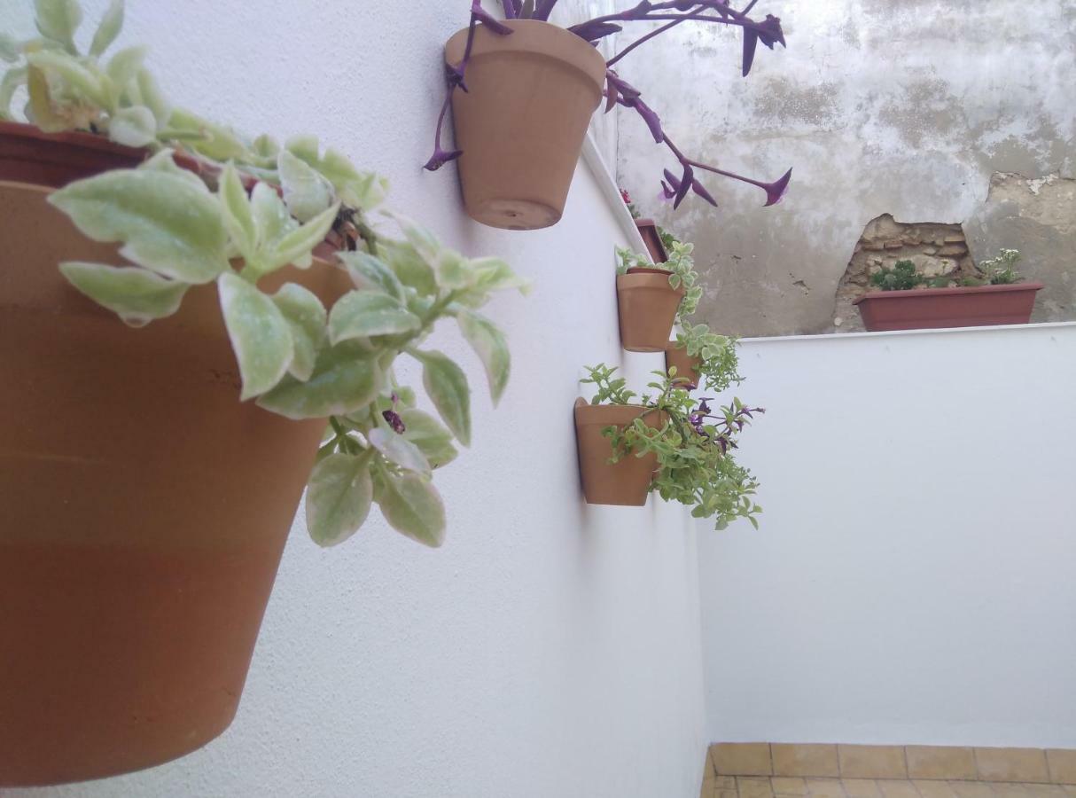 Apartamento Palo Cortao Jerez de la Frontera Exterior foto
